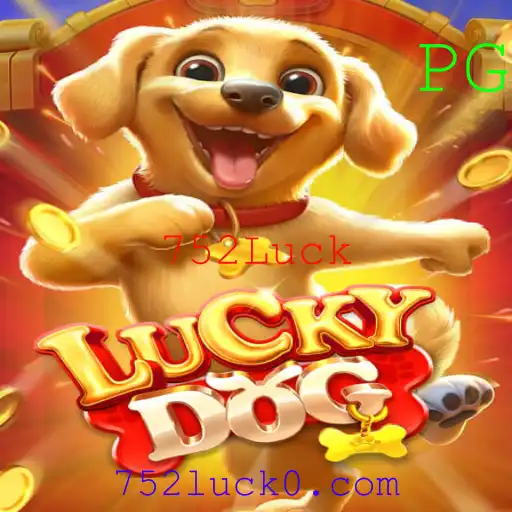 Descubra o Mundo Empolgante de LuckyDog: Regras e Estratégias para Vencer